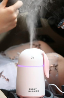 Difusor Orejas De Conejo